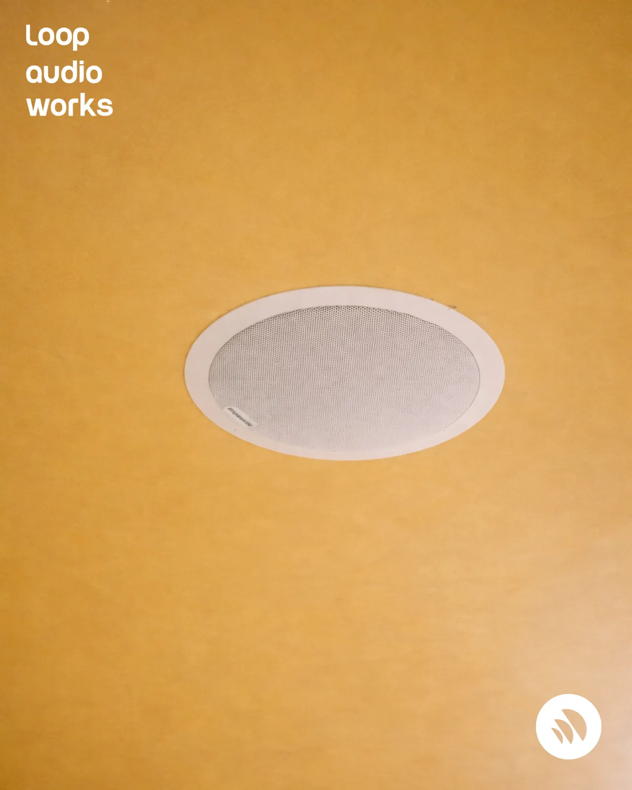A ceiling loudspeaker installed through the gym ceiling.